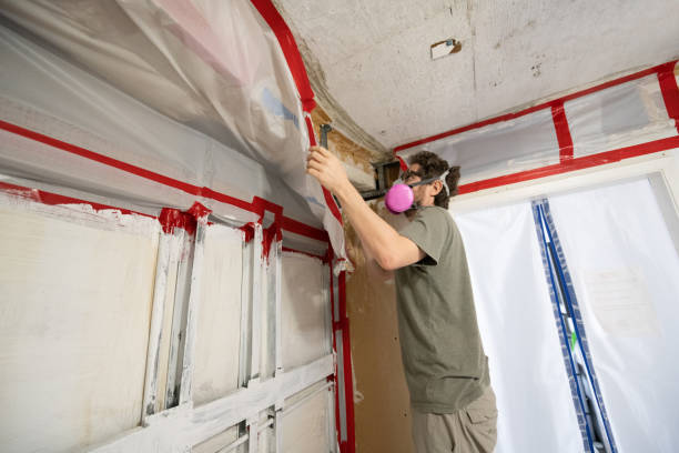 Best Asbestos and Lead Testing During Mold Inspection  in USA